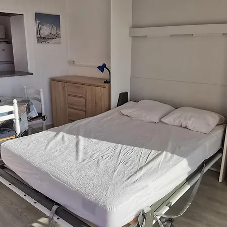 Vue Lagune Et Ocean, Parking Et Animaux Admis - Fr-1-194-325