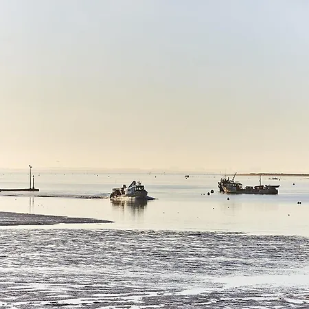 Vue Lagune Et Ocean, Parking Et Animaux Admis - Fr-1-194-325 דירה לה פוט-סור-מר